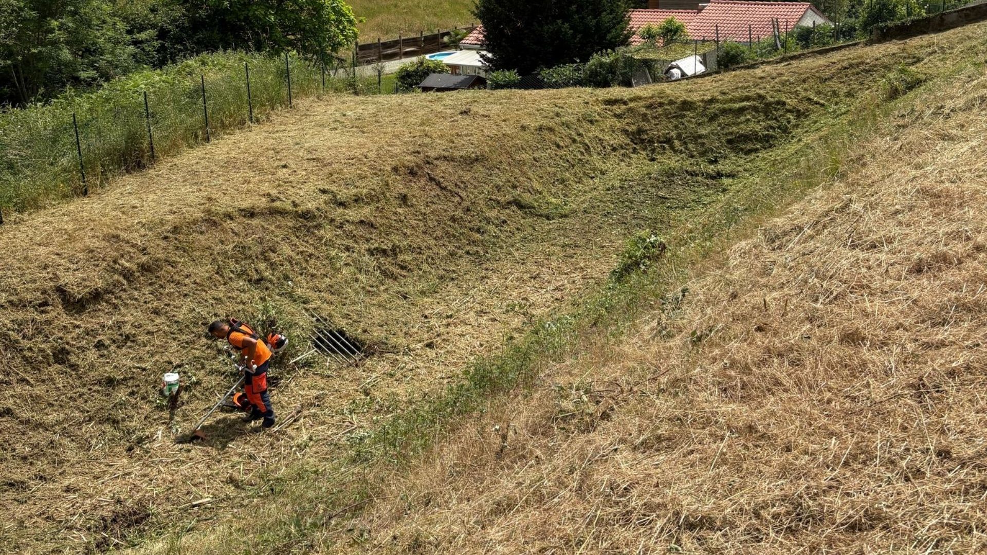 Entretien de terrain par Dorier TP & Paysage